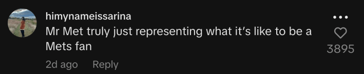 “Mr Met truly just representing what it’s like to be a Mets fan.”