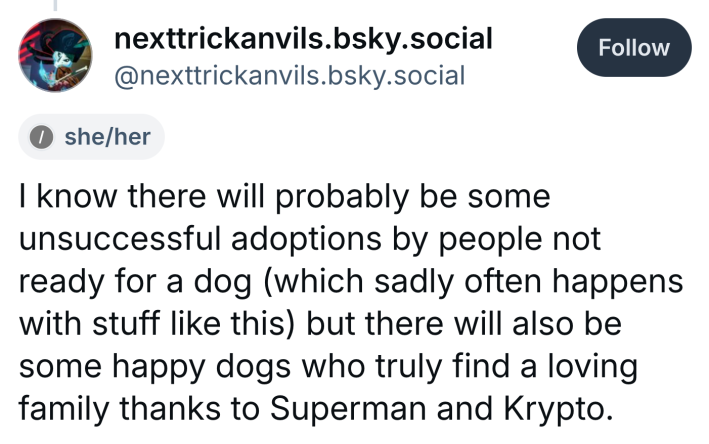 BlueSky post, text reads, "I know there will probably be some unsuccessful adoptions by people not ready for a dog (which sadly often happens with stuff like this) but there will also be some happy dogs who truly find a loving family thanks to Superman and Krypto."