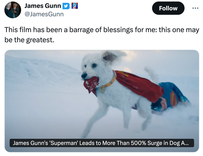 Tweet from James Gunn that reads, "This film has been a barrage of blessings for me: this one may be the greatest." with an image of Krypto running with Superman through the snow.