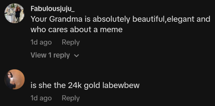 TikTok comments including one reading "Your Grandma is absolutely beautiful, elegant and who cares about a meme"