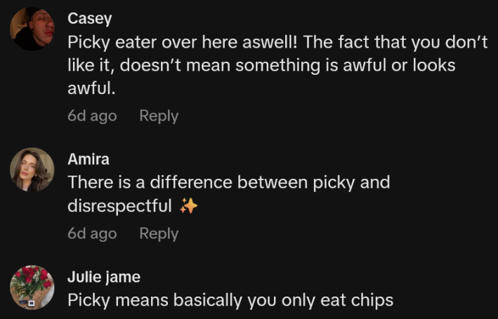 TikTok comments including one reading "Picky eater over here aswell! The fact that you don’t like it, doesn’t mean something is awful or looks awful."