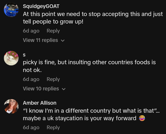 TikTok comments including one reading "picky is fine, but insulting other countries foods is not ok."