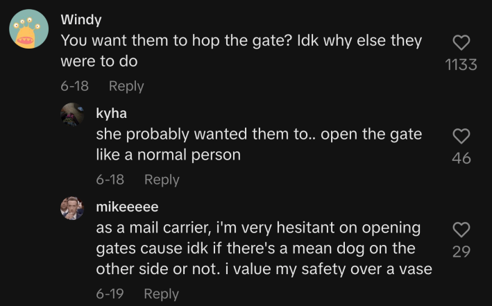 @windypoplarss asked, “You want them to hop the gate? Idk what else they were to do.” @sushibazoombo suggested, “She probably wanted them to…open the gate like a normal person.” But a professional replied, “As a mail carrier, I'm very hesitant on opening gates cause idk if there's a mean dog on the other side or not. I value my safety over a vase.”