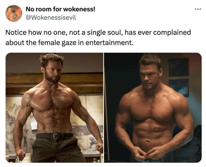 Tweet that reads, "Notice how no one, not a single soul, has ever complained about the female gaze in entertainment." with the described photos.