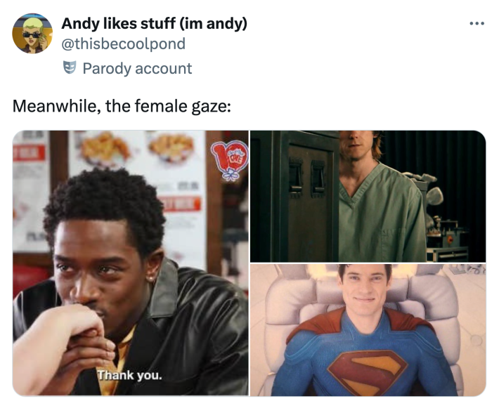Tweet that reads, "Meanwhile, the female gaze:" with photos of three suave and sweet male characters.