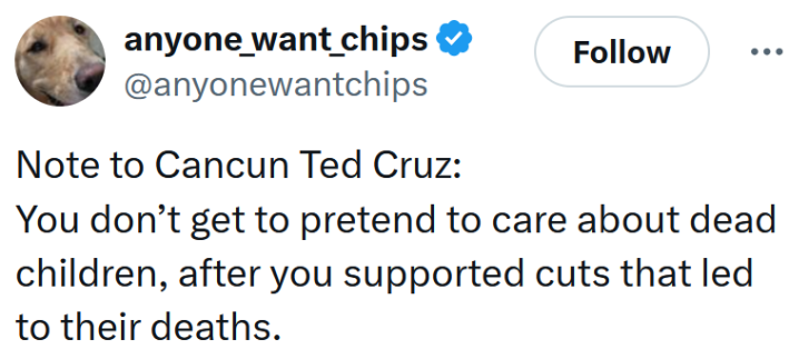 Tweet reading "Note to Cancun Ted Cruz: You don’t get to pretend to care about dead children, after you supported cuts that led to their deaths."