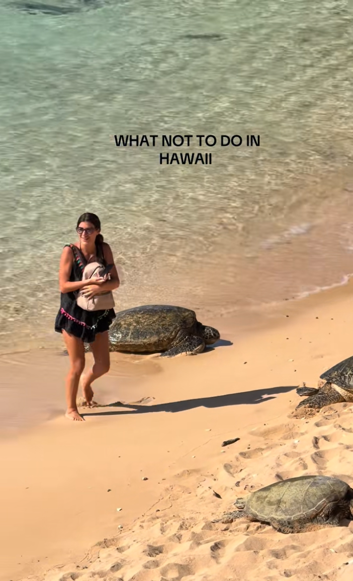 Woman on a beach holding her bag to her chest and smiling while breaking the rules about standing too close to sea turtles to take photos of them.