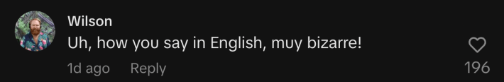 “Uh, how you say in English, muy bizarre!”