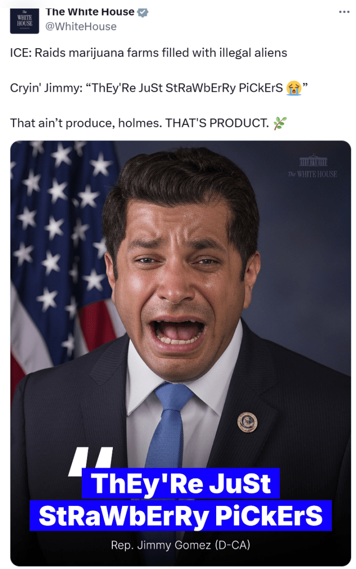 White House official tweet with an AI-edited photo of Representative Jimmy Gomez made to look like he is crying with his mouth wide open saying, "They're just strawberry pickers" in mocking SpongeBob capitalization format.