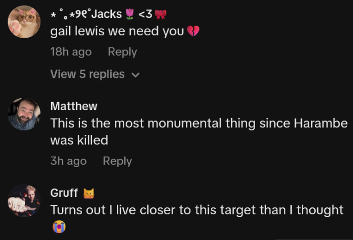 TikTok comments including one reading "This is the most monumental thing since Harambe was killed"