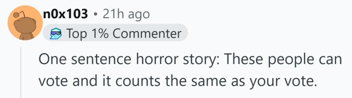 Reddit comment that reads, "One sentence horror story: These people can vote and it counts the same as your vote."