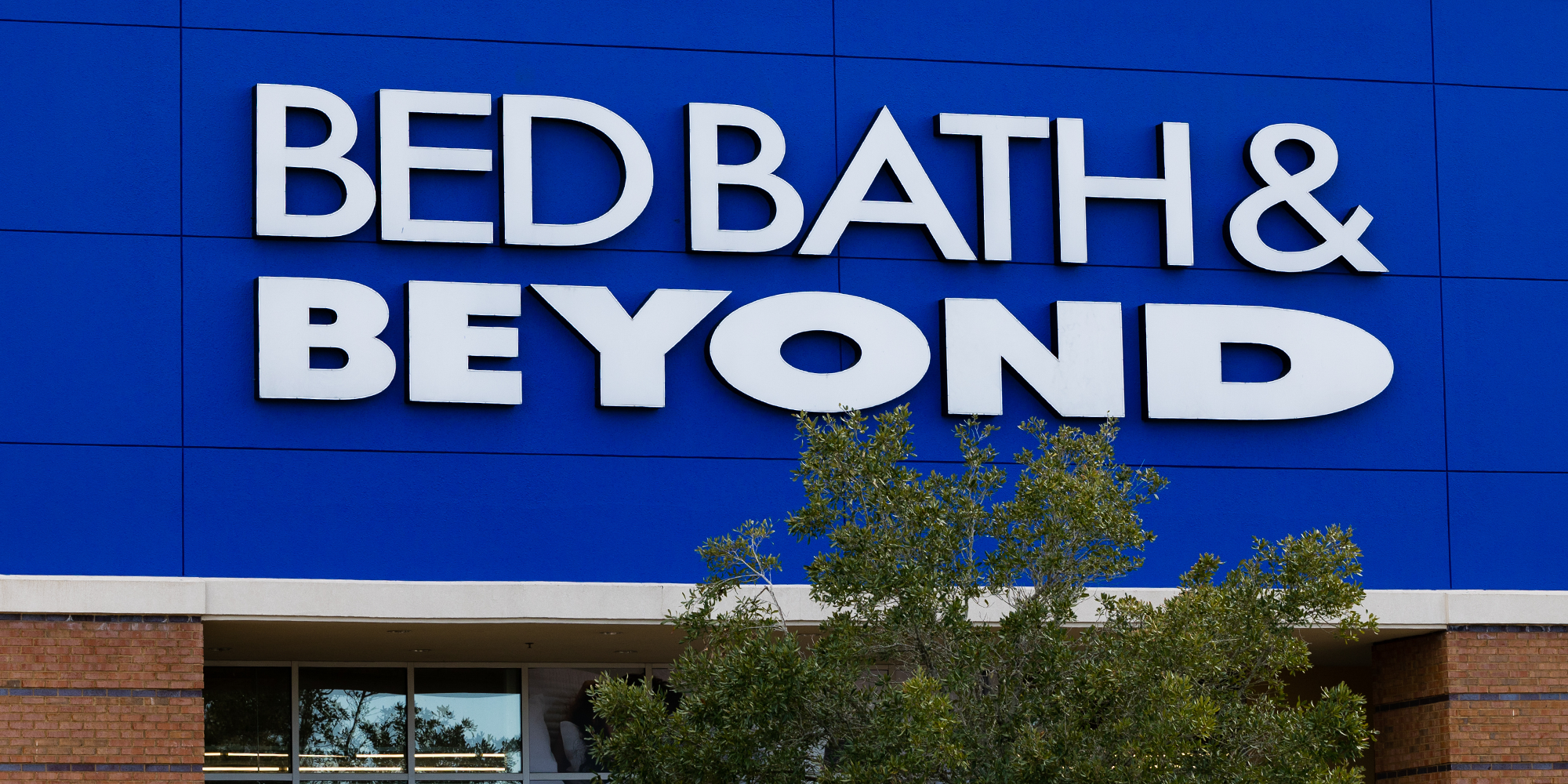 bed bath and beyond is coming back