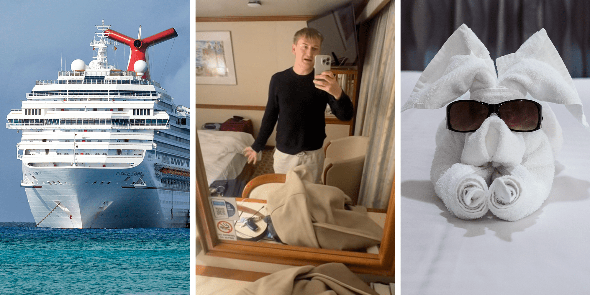 carnival cruise towel animal surprise