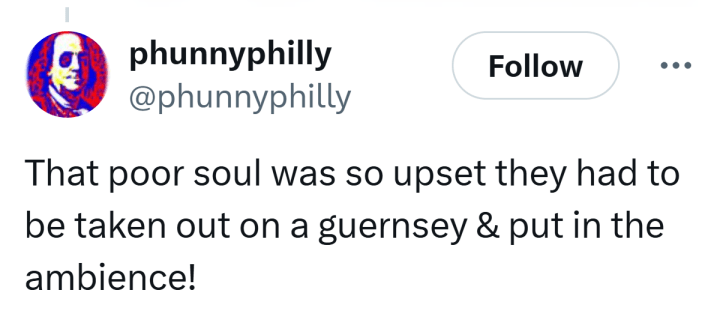 Tweet that reads, "That poor soul was so upset they had to be taken out on a guernsey & put in the ambience!"