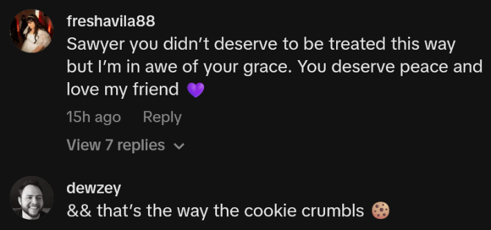 TikTok comments including one reading "Sawyer you didn’t deserve to be treated this way but I’m in awe of your grace. You deserve peace and love my friend"