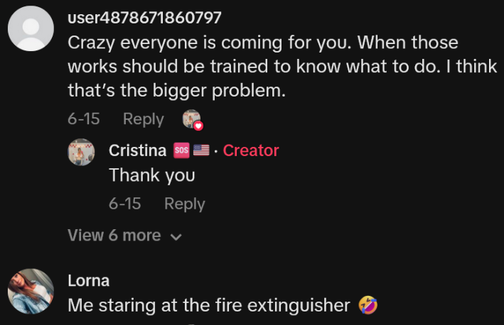 TikTok comments including one reading "Crazy everyone is coming for you. When those works should be trained to know what to do. I think that’s the bigger problem."