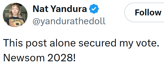 Tweet reading "This post alone secured my vote. Newsom 2028!"