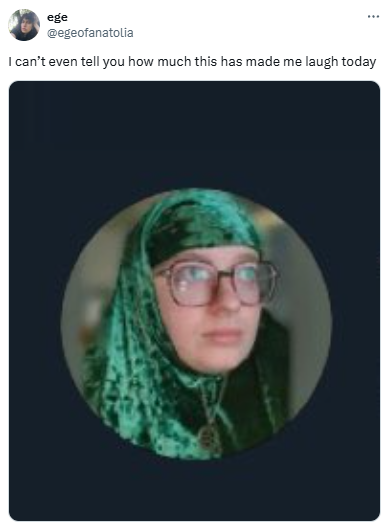 Tweet that reads, "I can’t even tell you how much this has made me laugh today" with a screenshot of the meme OP's profile picture.