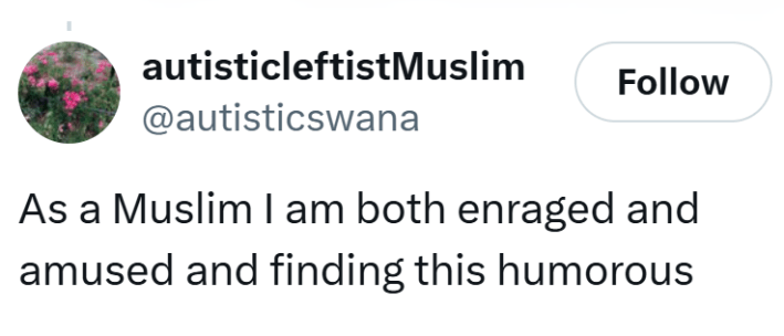 Tweet that reads, "As a Muslim I am both enraged and amused and finding this humorous."