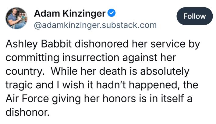 Adam Kinzinger's Bluesky post.