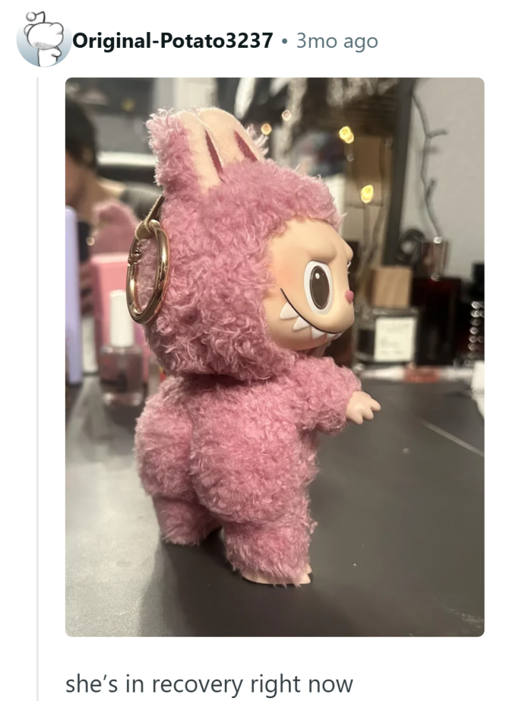Reddit comment that reads, "she’s in recovery right now" with a photo of a LABBL.