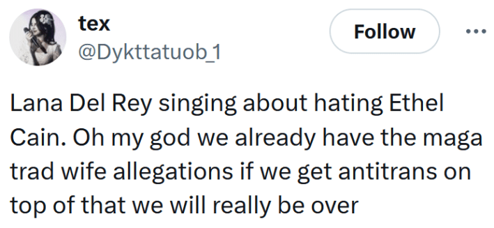 Tweet reading "Lana Del Rey singing about hating Ethel Cain. Oh my god we already have the maga trad wife allegations if we get antitrans on top of that we will really be over"