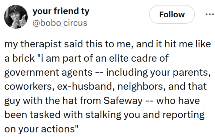Tweet reading "my therapist said this to me, and it hit me like a brick "i am part of an elite cadre of government agents -- including your parents, coworkers, ex-husband, neighbors, and that guy with the hat from Safeway -- who have been tasked with stalking you and reporting on your actions""
