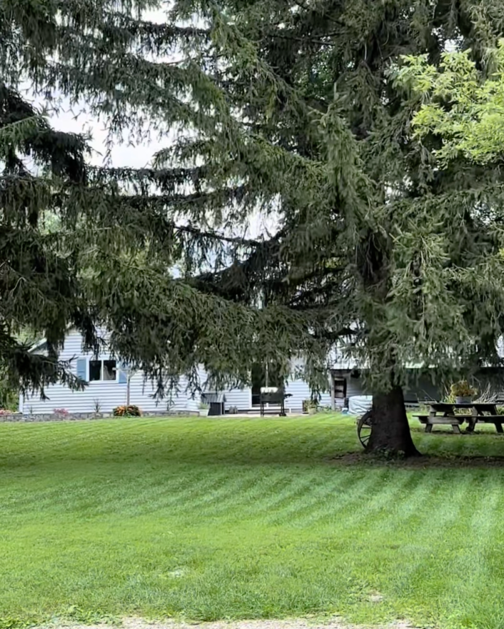 @mrsextant/TikTok home bought for 130K in 2010