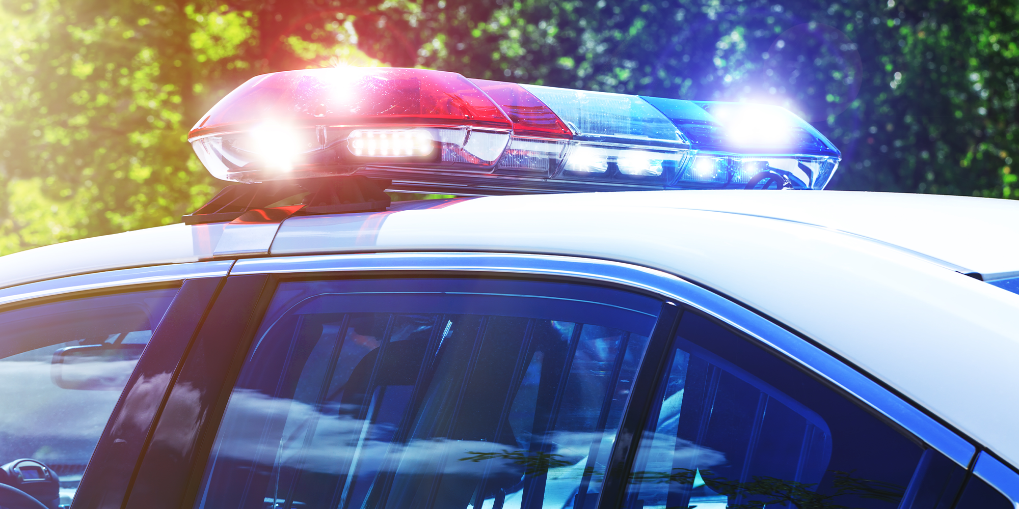 gta6 police car auction