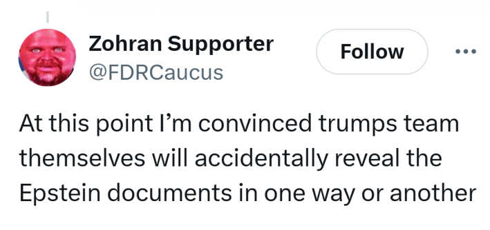 Tweet that reads, "At this point I’m convinced trumps team themselves will accidentally reveal the Epstein documents in one way or another"