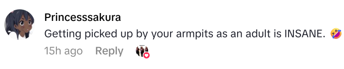 TikTok comment that reads, "Getting picked up by your armpits as an adult is INSANE. 🤣"