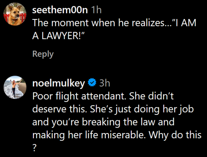 Instagram comments including one reading "Poor flight attendant. She didn’t deserve this. She’s just doing her job and you’re breaking the law and making her life miserable. Why do this?"