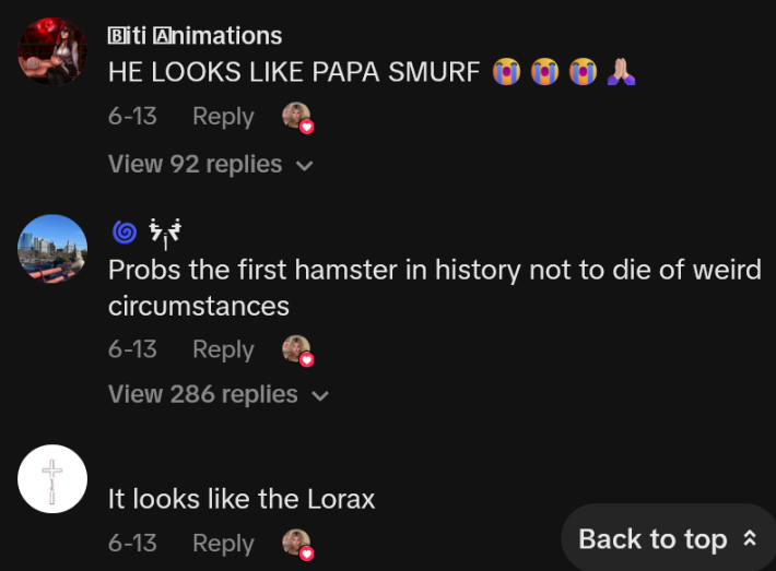 TikTok comments including one reading "HE LOOKS LIKE PAPA SMURF"