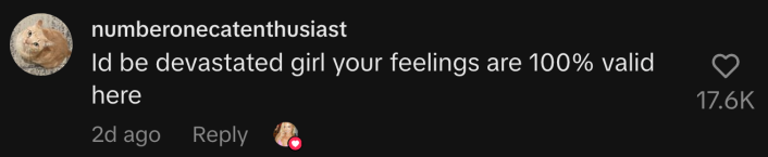 “I’d be devastated girl, your feelings are 100% valid here.”