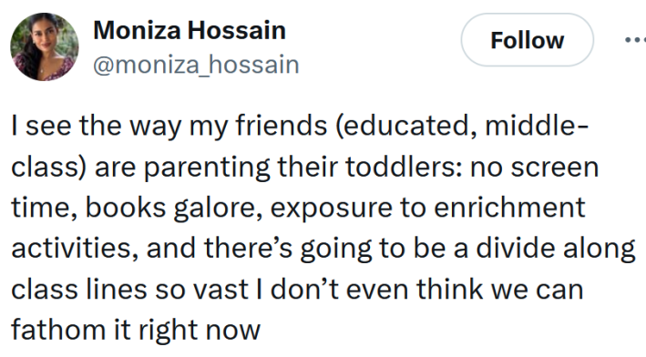 Tweet reading "I see the way my friends (educated, middle-class) are parenting their toddlers: no screen time, books galore, exposure to enrichment activities, and there’s going to be a divide along class lines so vast I don’t even think we can fathom it right now"