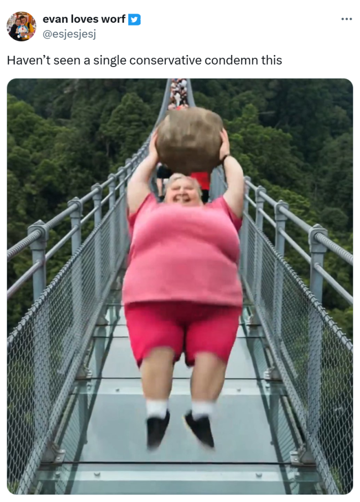 Tweet that reads, "Haven’t seen a single conservative condemn this" with a still of the woman jumping backward onto the glass bridge.