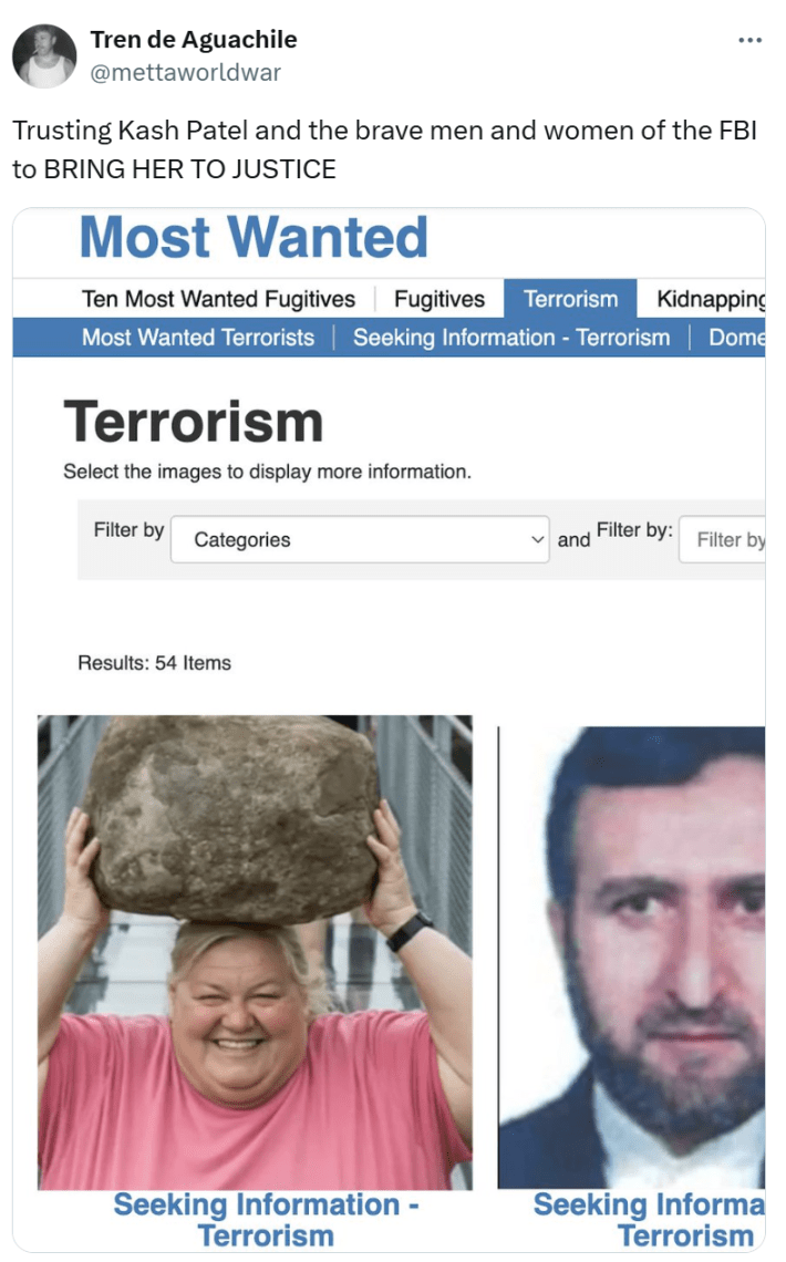 Tweet that reads, "Trusting Kash Patel and the brave men and women of the FBI to BRING HER TO JUSTICE" with a fake screenshot of a terrorist watch list including the AI generated woman with a rock.