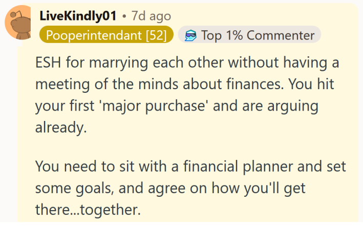 Reddit comment reading "ESH for marrying each other without having a meeting of the minds about finances. You hit your first 'major purchase' and are arguing already. You need to sit with a financial planner and set some goals, and agree on how you'll get there...together."