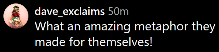 Instagram comment reading "What an amazing metaphor they made for themselves!"