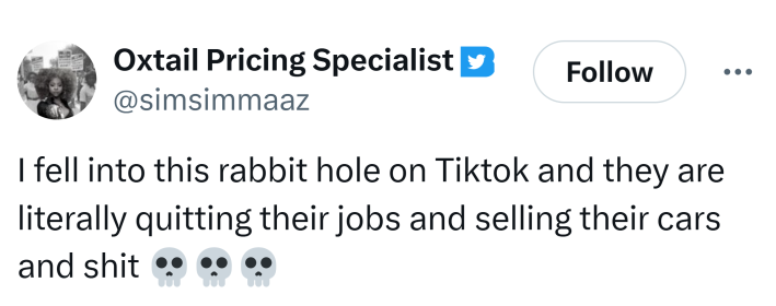 Tweet that reads, "I fell into this rabbit hole on Tiktok and they are literally quitting their jobs and selling their cars and shit (skull emojis)"