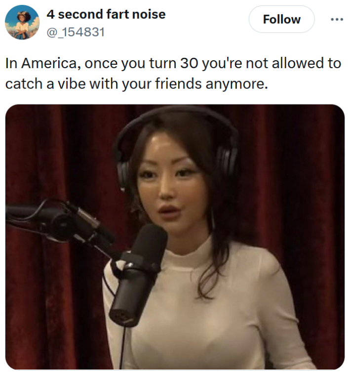 Tweet reading "In America, once you turn 30 you're not allowed to catch a vibe with your friends anymore."