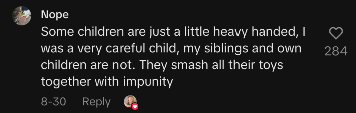 “Some children are just a little heavy handed, I was a very careful child, my siblings and own children are not. They smash all their toys together with impunity.”