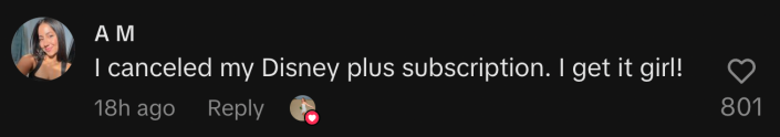 “I canceled my Disney plus subscription. I get it girl!”