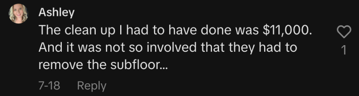 “The clean up I had to have done was $11,000. And it was not so involved that they had to remove the subfloor…”
