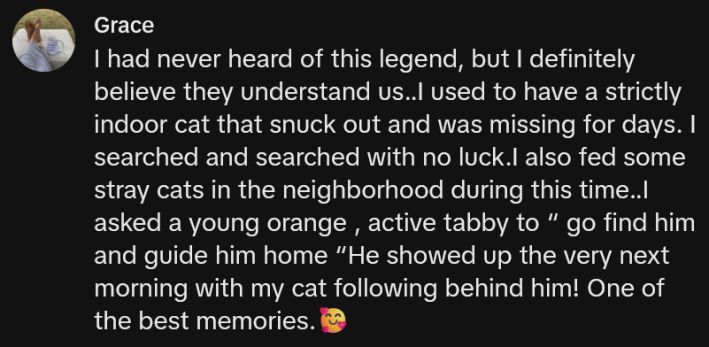 TikTok comment reading "I had never heard of this legend, but I definitely believe they understand us..I used to have a strictly indoor cat that snuck out and was missing for days. I searched and searched with no luck.I also fed some stray cats in the neighborhood during this time..I asked a young orange , active tabby to “ go find him and guide him home “He showed up the very next morning with my cat following behind him! One of the best memories."