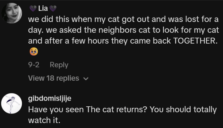 TikTok comments including one reading "we did this when my cat got out and was lost for a day. we asked the neighbors cat to look for my cat and after a few hours they came back TOGETHER."