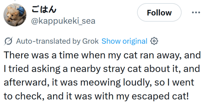 Tweet reading "There was a time when my cat ran away, and I tried asking a nearby stray cat about it, and afterward, it was meowing loudly, so I went to check, and it was with my escaped cat!"