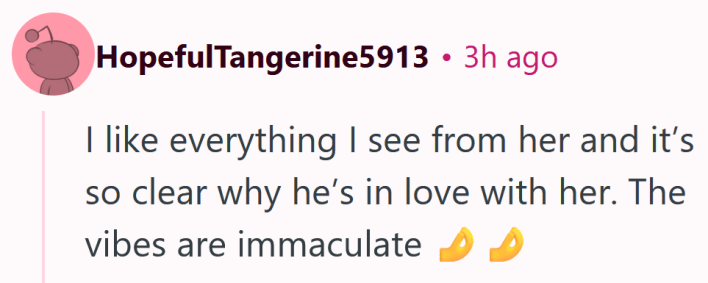 Reddit comment reading "I like everything I see from her and it’s so clear why he’s in love with her. The vibes are immaculate"