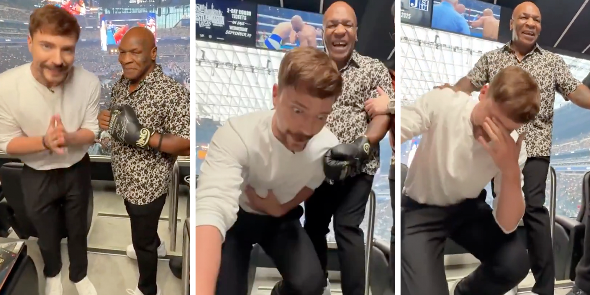 mrbeast punched by mike tyson