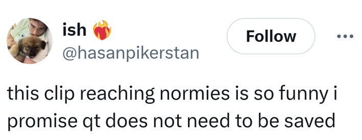 Tweet that reads, "this clip reaching normies is so funny i promise qt does not need to be saved."